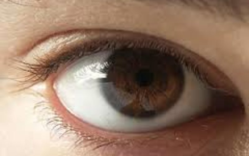 आँखालाई सधै स्वस्थ्य राख्ने खानेकुरा के के हुन ?