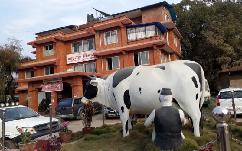 सम्पूर्ण नागरिकहरुमा जनचेतनाको लागि पशु सेवा विभागको अनुरोध