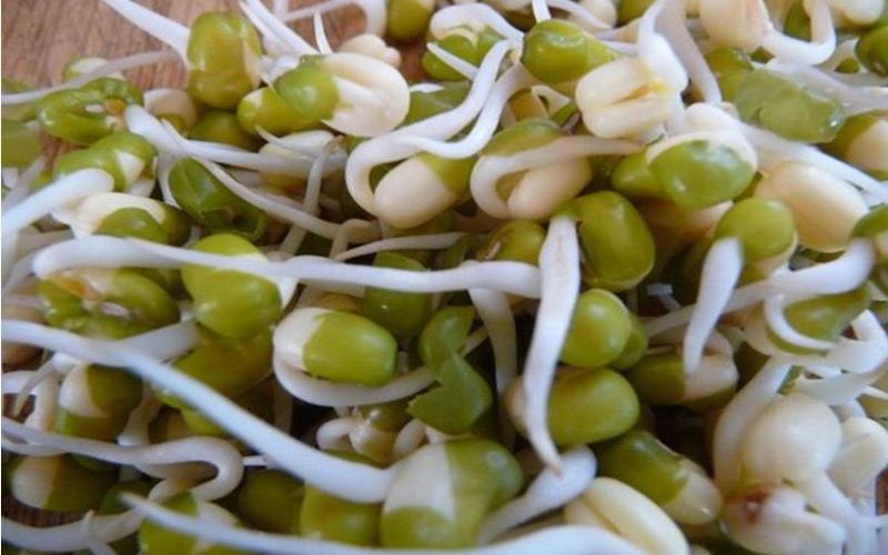 टुसा पलाएका गेडागुडीमा भिटामिन बढी किन हुन्छ ?