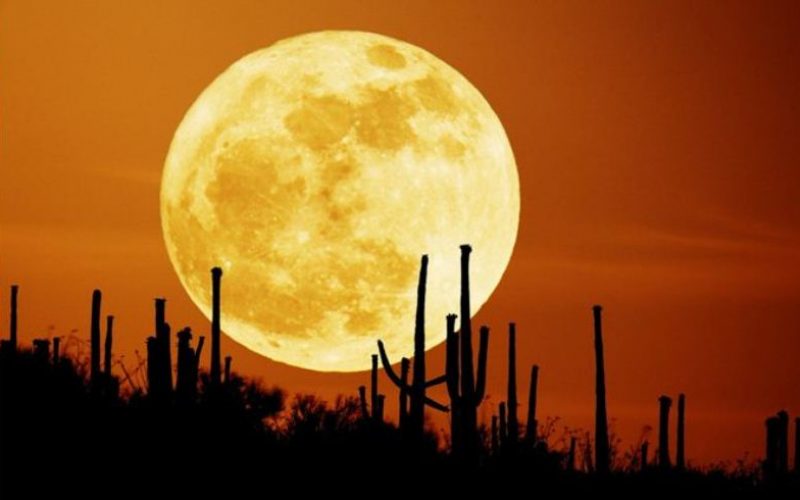 प्राकृतिक उपग्रह चन्द्रमा दूरसंचारको लागि किन प्रयोगमा ल्याइदैन ?