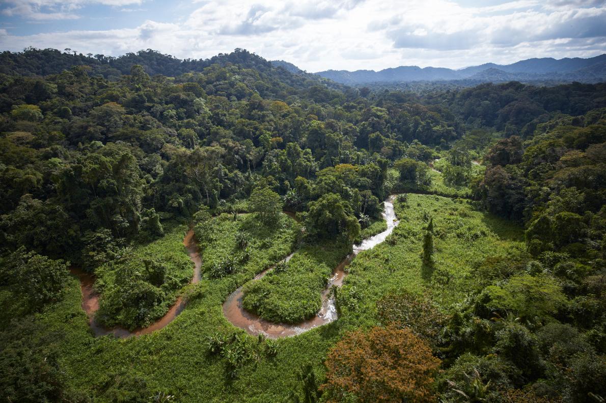 Lost City Discovered in the Honduran Rain Forest